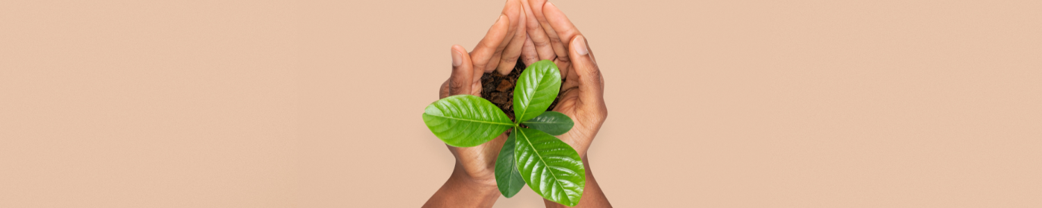 Ranking de sustentabilidade: PUC Minas está entre as 800 melhores do mundo 